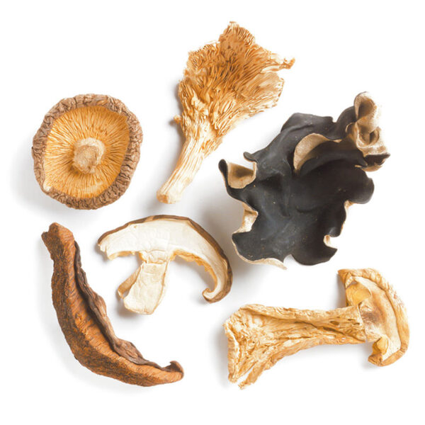 Forest Blend Mushrooms, Dried