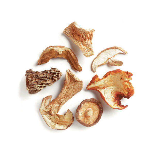 Northwoods Blend Mushrooms, Dried